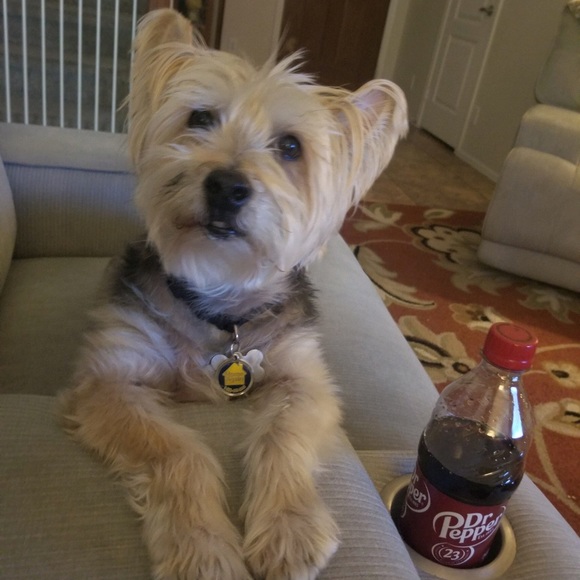 Meet your Posher, Janine - Picture 1 of 2